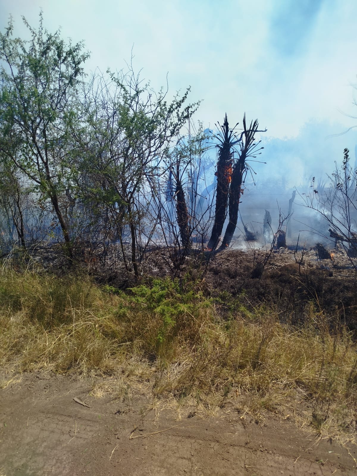 Tal como adelantará infor-villaguay: Incendio de un campo en Raíces Noticias