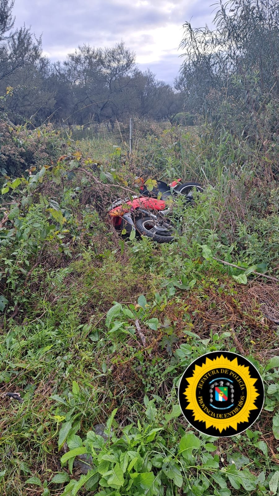 Hallaron entre pastizales una moto sustraída durante la madrugada Noticias