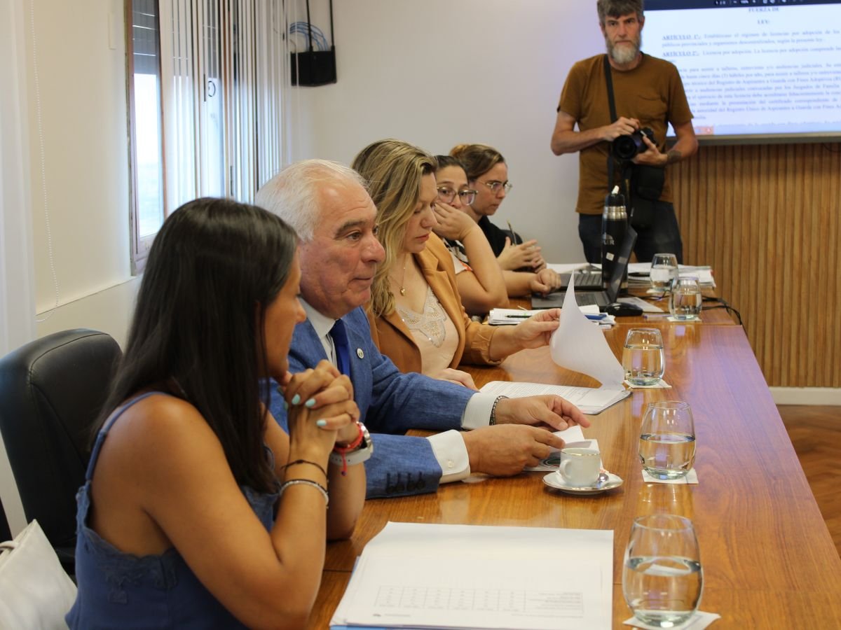 Nuevo régimen de licencias por adopción en el empleo público Noticias